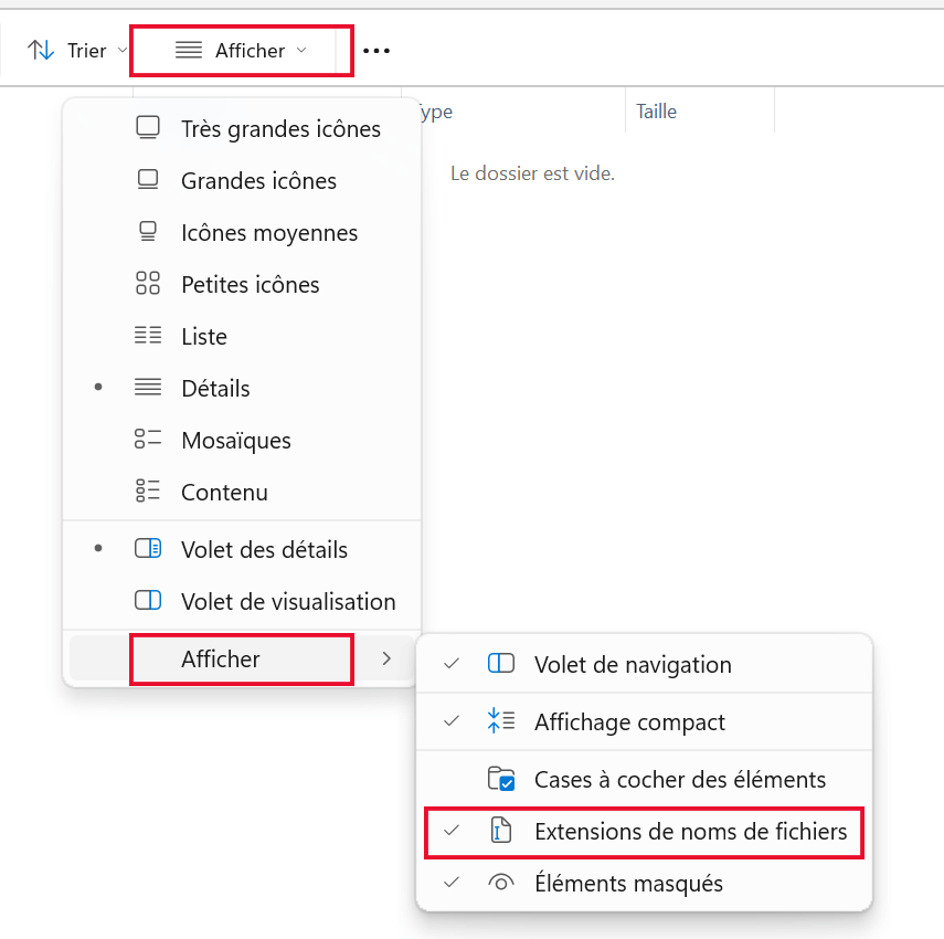 Exemple d’affichage des extensions de fichiers dans Windows